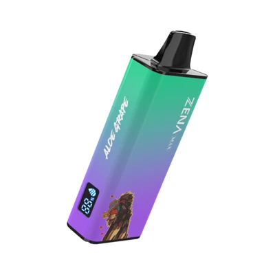 12000puffs Tek Kullanımlık Vape Özelleştirilebilir